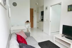 Loft @ Holland (D10), Apartment #181387092